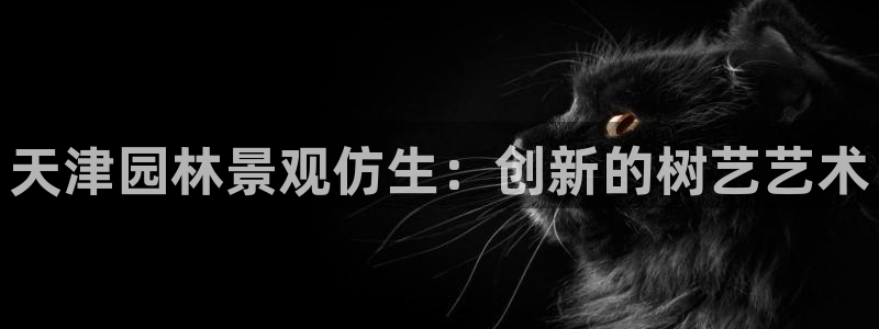 新宝gg是在境外吗