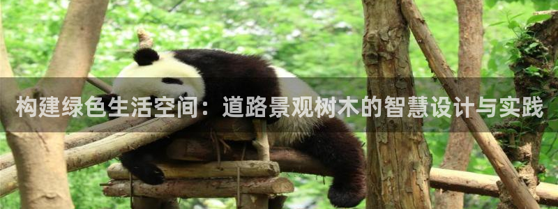 新宝gg软件下载