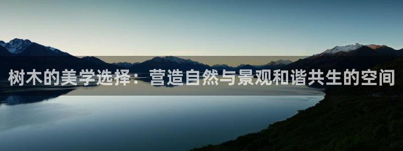 新宝gg dengludizhi