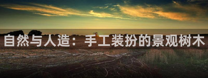 新宝gg和新宝123