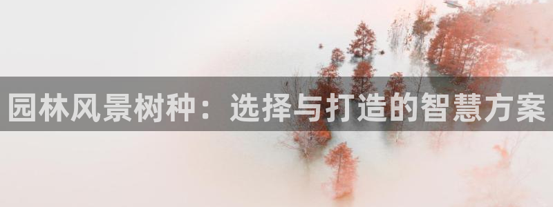 创造奇迹 新宝gg