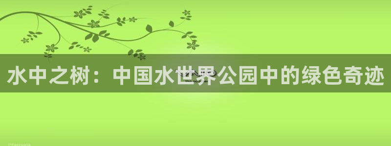 新宝gg地址新宝二