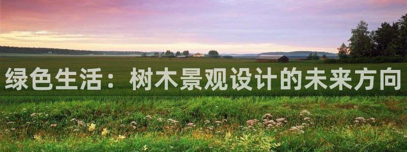 新宝gg平台开发