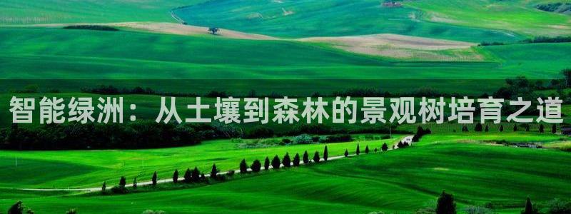 新宝gg招商致胜团队