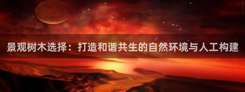 新宝gg平台怎么样