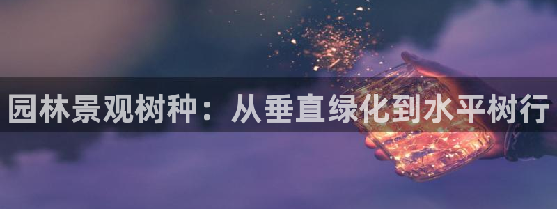 新宝gg老板