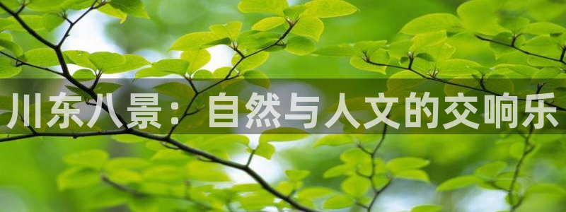 新宝gg创造奇迹下载