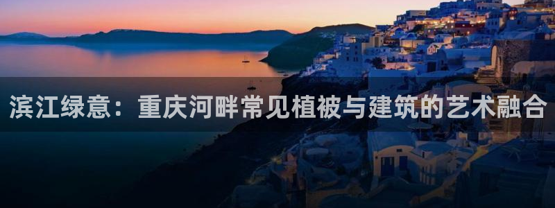 新宝gg群
