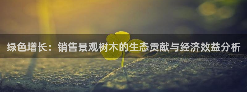 新宝gg真的