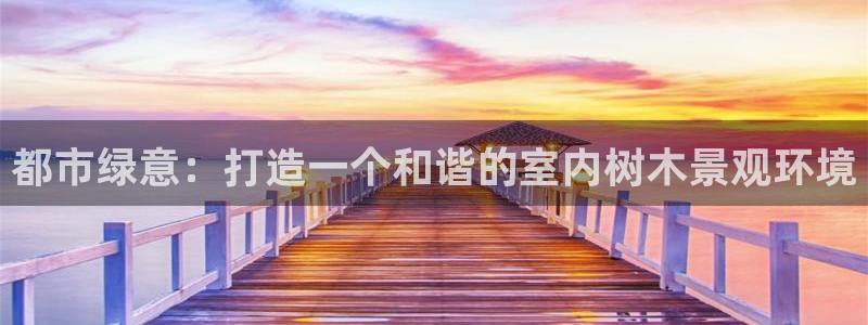 新宝gg试玩