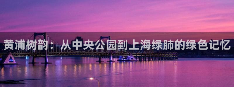 新宝gg — 创造!