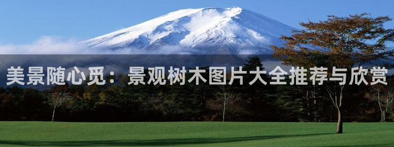 新宝GG挂机