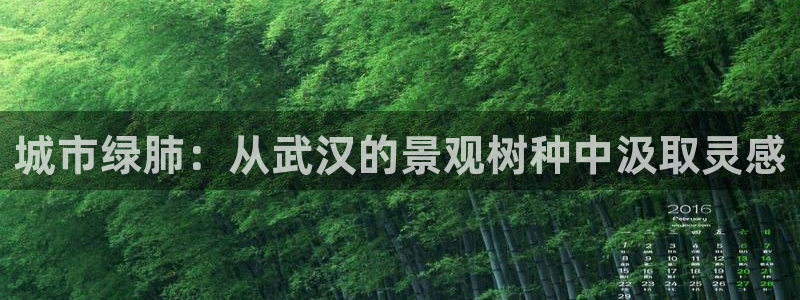 新宝gg合作