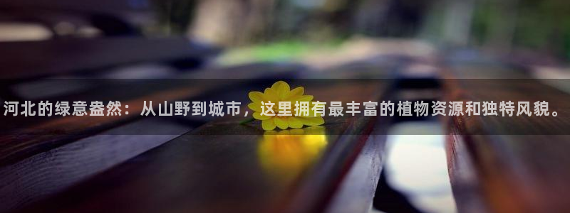 新宝gg游戏平台