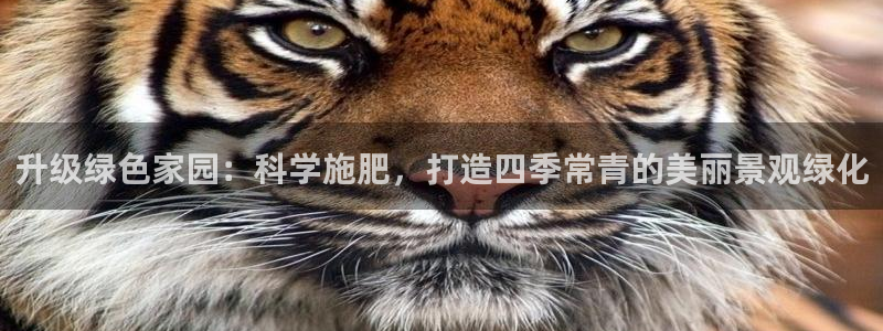 新宝gg娱乐平台