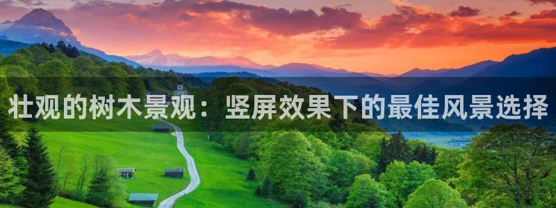 新宝gg主