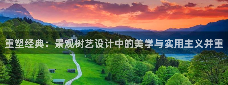 新宝 gg 总代理