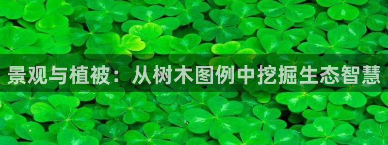 新宝gg开奖