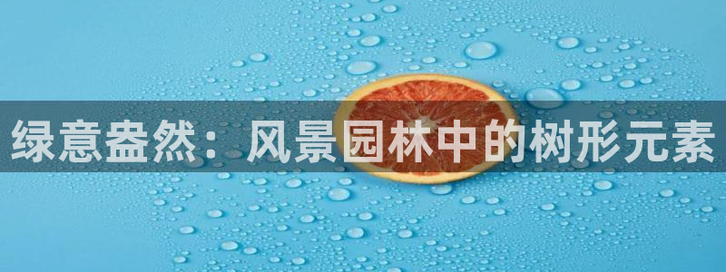 新宝gg主管都是谁