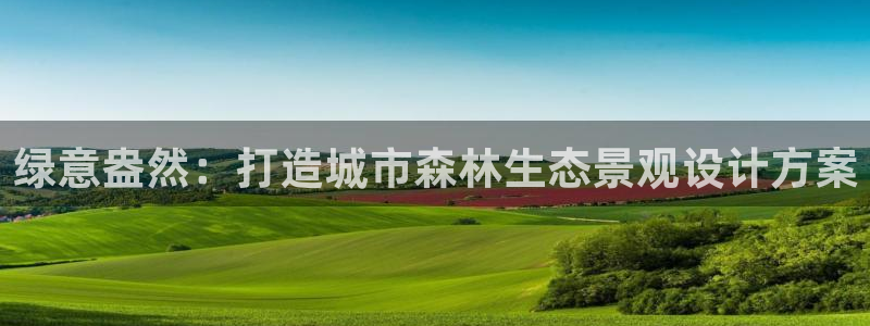新宝gg画