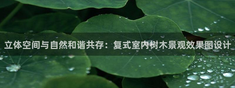 新宝gg返点