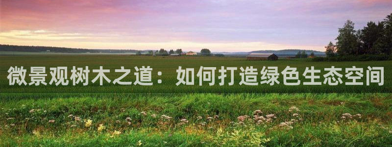 娱乐世界新宝gg