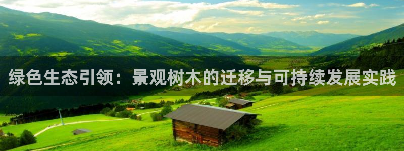 新宝gg平台开户