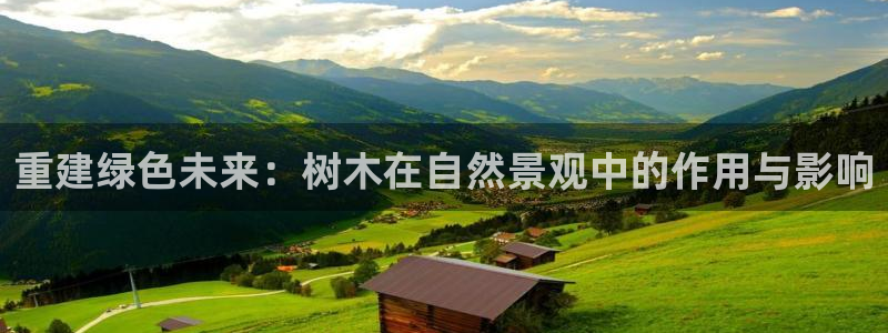 新宝gg手机版下载