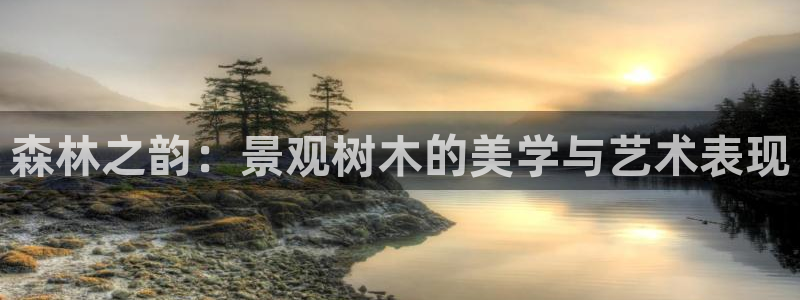 创造奇迹新宝gg