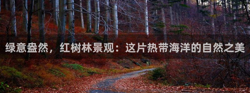 新宝gg 创造奇迹