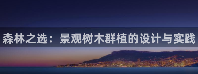 怎么代理新宝gg