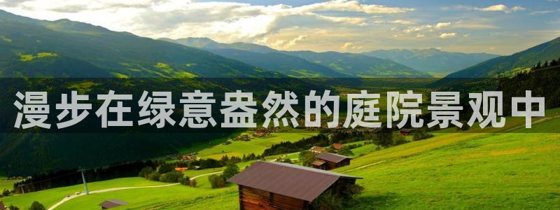 新宝GG创造奇：漫步在绿意盎然的庭院景观中