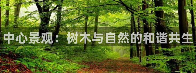 新宝gg平台连接