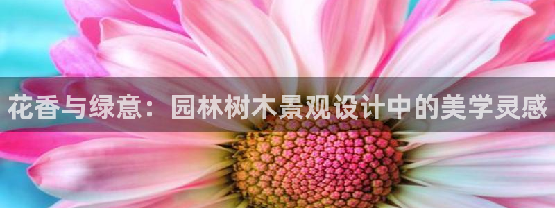 新宝gg 登陆