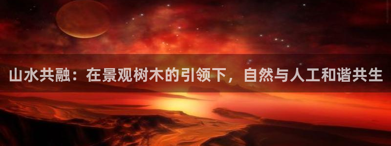 收新宝gg