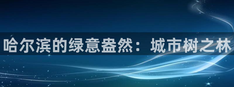 新宝奇迹GG5：哈尔滨的绿意盎然：城市树之林