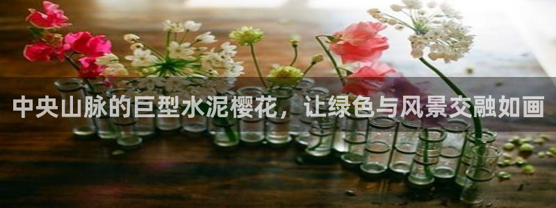 新宝GG冰冰：中央山脉的巨型水泥樱花，让绿色与风景交融如画