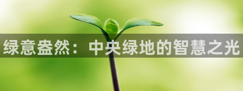 新宝gg主：绿意盎然：中央绿地的智慧之光