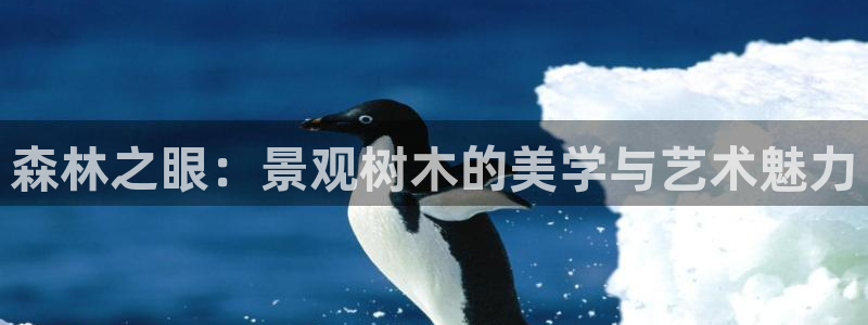 分分新宝gg：森林之眼：景观树木的美学与艺术魅力