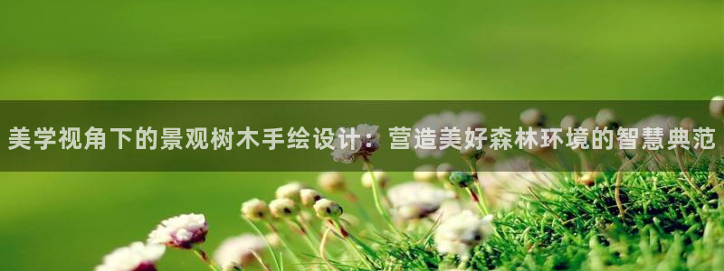 新宝GG创造奇
